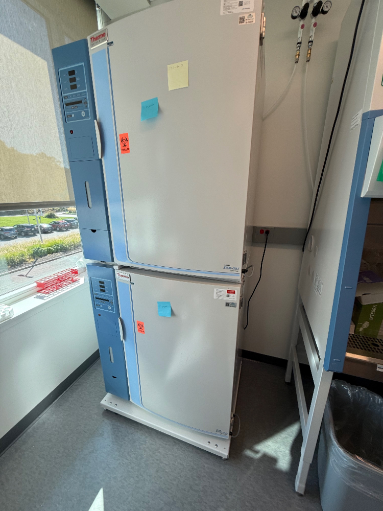 Image of Thermo Scientific Forma Steri-Cult CO Double Stack Incubators